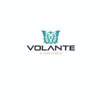 Volante Group Logo